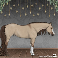 Horse Color:Liver Red Dun