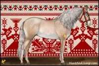 Horse Color:Silver Buckskin Pearl Rabicano 