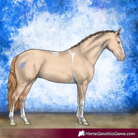 Horse Color:White Spotted Gold Champagne Dun Tobiano 