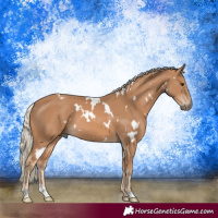 Horse Color:White Spotted Chestnut Mushroom