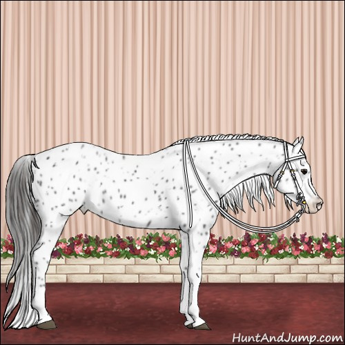 Horse Color:Black Tobiano Leopard 