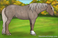 Horse Color:Silver Blue Roan 
