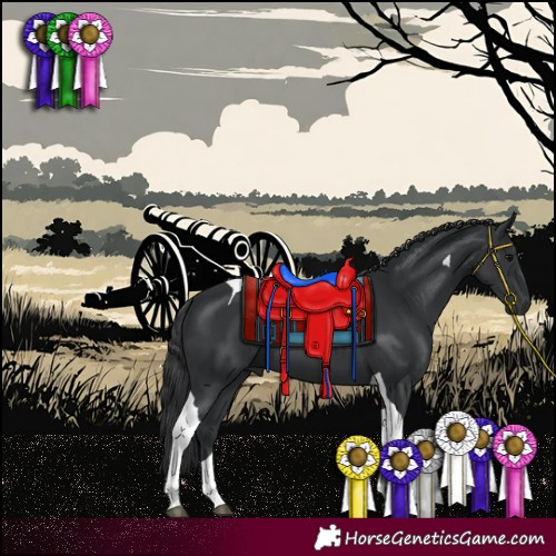 Horse Color:Black Tobiano 