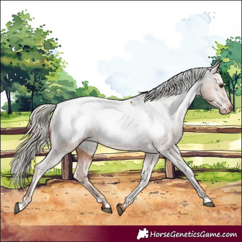 Horse Color:Chestnut Near Fewspot 