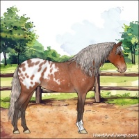 Horse Color:Silver Bay Roan Appaloosa 