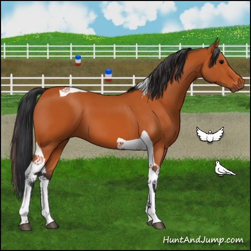 Horse Color:Bay Tobiano