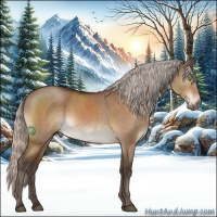 Horse Color:Silver Bay Dun