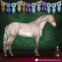 Horse Color:Silver Bay Roan Dun Brindle 