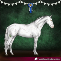 Horse Color:Silver Brown Sabino Appaloosa 
