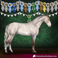 Horse Color:Silver Brown Roan Dun Sabino 