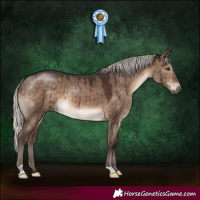 Horse Color:Silver Brown Dun Brindle 