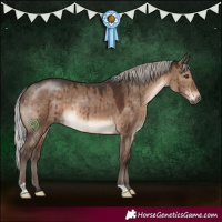 Horse Color:Silver Brown Dun Brindle 