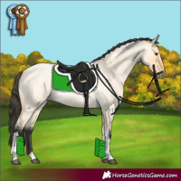 Horse Color:Buckskin Roan Dun Tobiano 