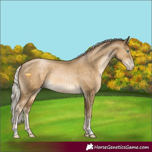 Horse Color:Silver Smoky Black Pearl Sabino 