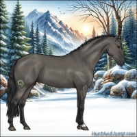 Horse Color:Grullo Sabino 