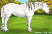 Horse Color:Cremello Dun Sabino  and Perlino Dun Sabino 