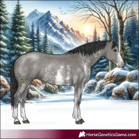 Horse Color:Grullo Sabino Rabicano