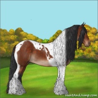 Horse Color:Bay Tobiano 
