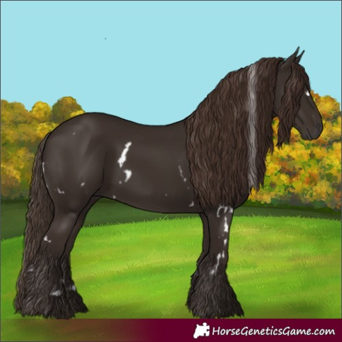 Horse Color:White Spotted Liver Chestnut 