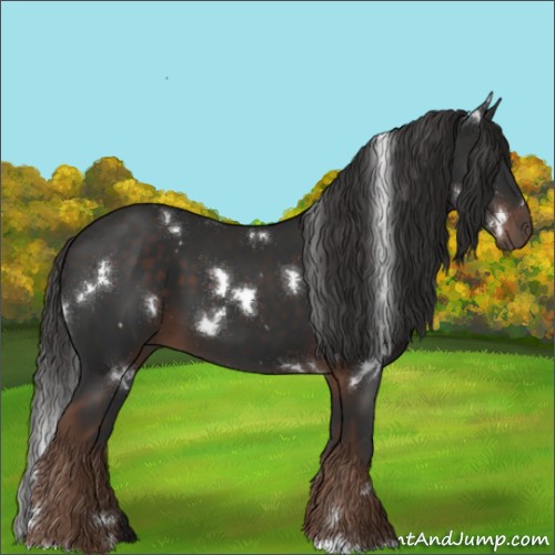 Horse Color:White Spotted Liver Chestnut 