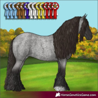 Horse Color:Liver Red Roan 