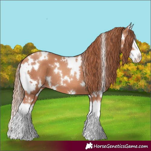 Horse Color:White Spotted Gold Champagne Splash 