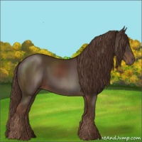 Horse Color:Liver Chestnut 
