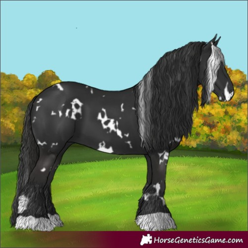 Horse Color:White Spotted Liver Chestnut 