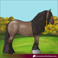 Horse Color:Liver Red Dun