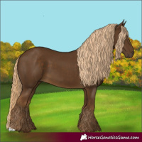 Horse Color:Chocolate Palomino 