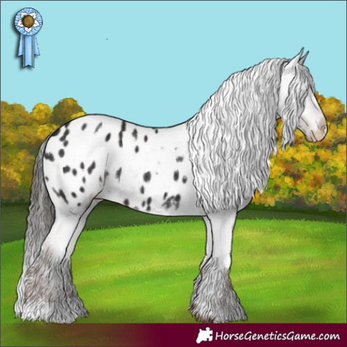 Horse Color:White Spotted Liver Chestnut Blanket 
