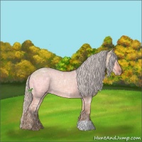 Horse Color:Silver Bay Ice Dun 