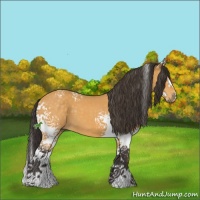 Horse Color:White Spotted Buckskin Mushroom Sabino Splash 