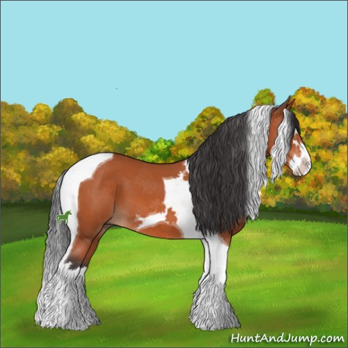 Horse Color:Bay Sabino Splash Tobiano 