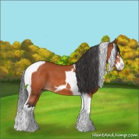 Horse Color:Bay Sabino Splash Tobiano 