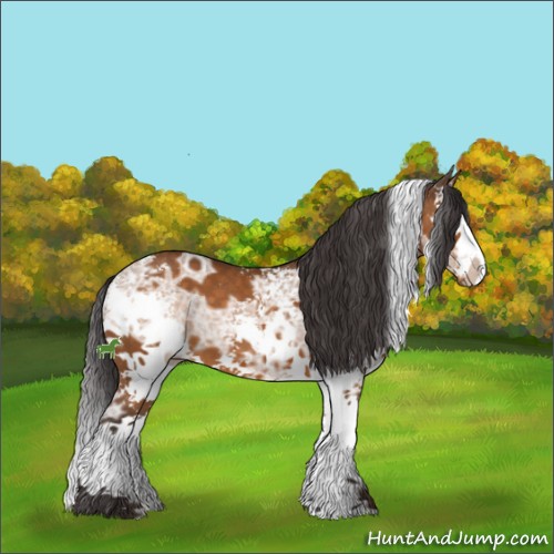 Horse Color:White Spotted Buckskin Ice Sabino Splash