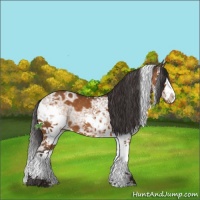 Horse Color:White Spotted Buckskin Ice Sabino Splash 