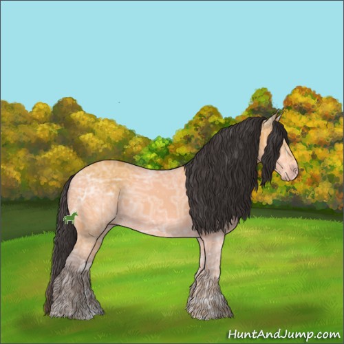 Horse Color:Buckskin Ice