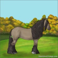 Horse Color:Smoky Grullo