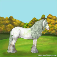 Horse Color:Watercolor White Spotted Liver Chestnut Ice Sabino Splash Appaloosa 