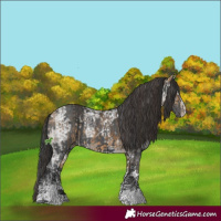 Horse Color:Buckskin Ice Sabino  and Black Ice Sabino 