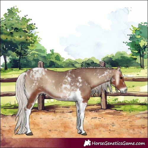 Horse Color:Silver Blue Onyx Tobiano 