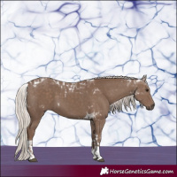 Horse Color:Silver Black Tobiano 