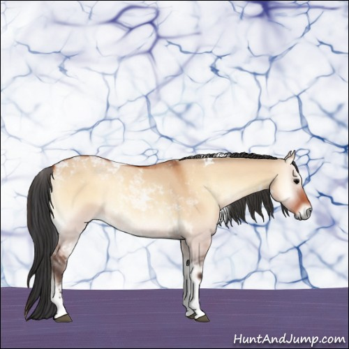 Horse Color:Bay Onyx Tobiano 