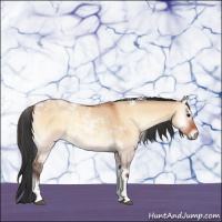 Horse Color:Bay Onyx Tobiano 