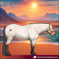 Horse Color:Bay Roan Dun 