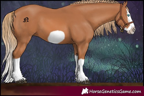 Horse Color:Chestnut Splash Frame 