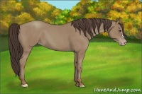 Horse Color:Classic Champagne 