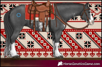 Horse Color:Black Sabino Splash 