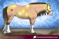 Horse Color:Bay Dun Splash 